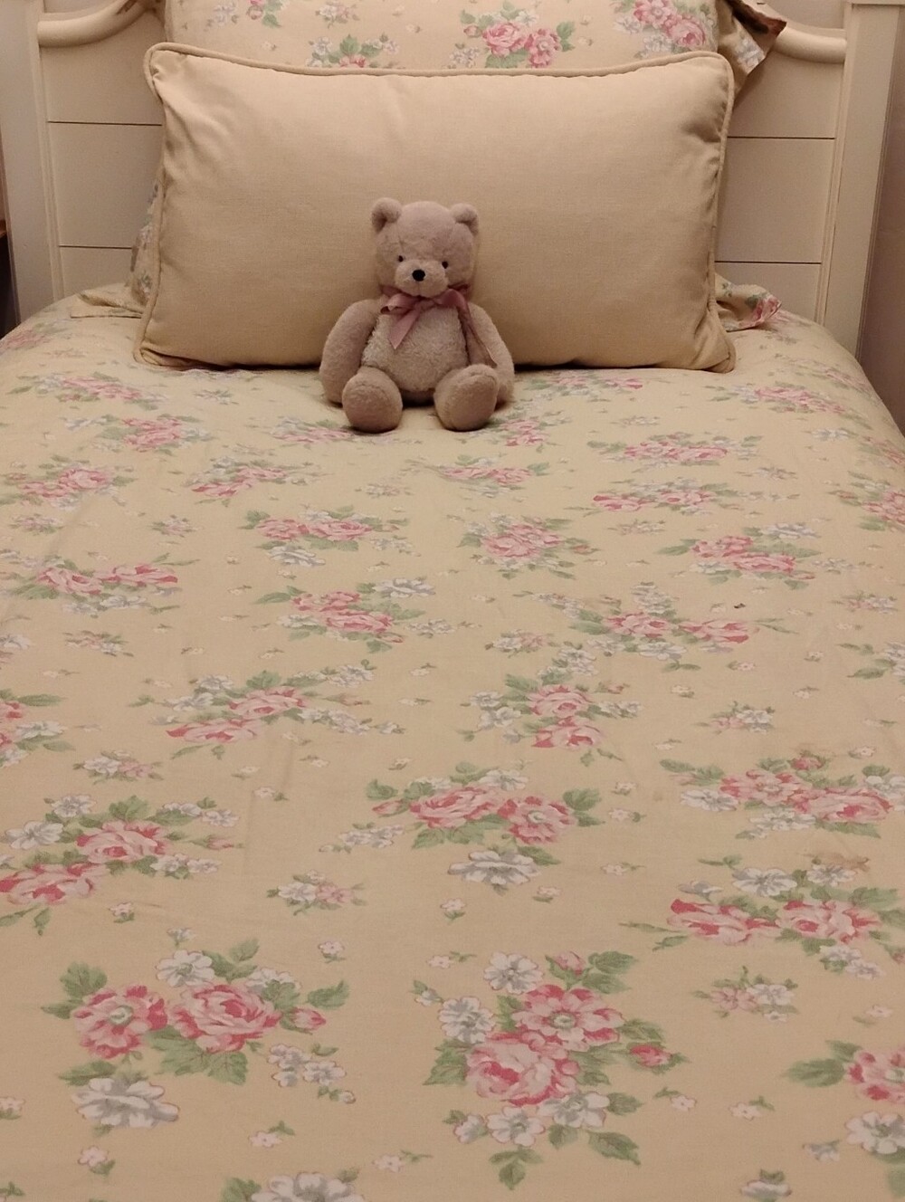 Pottery Barn Kids Twin Cottage Floral Duvet Bedding Set Country Cute Preppy Chic